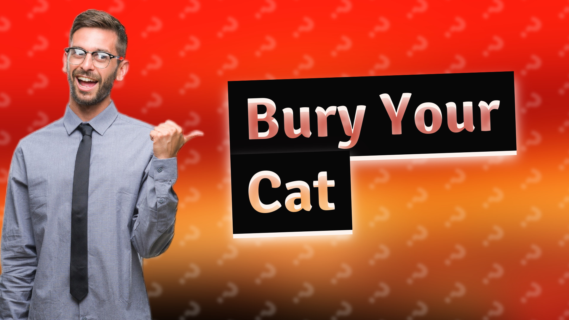 Bury Your Cat