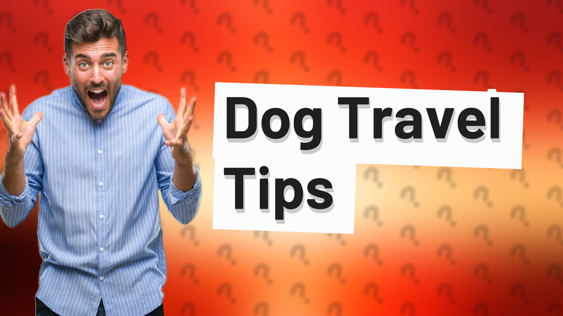 Dog Travel Tips