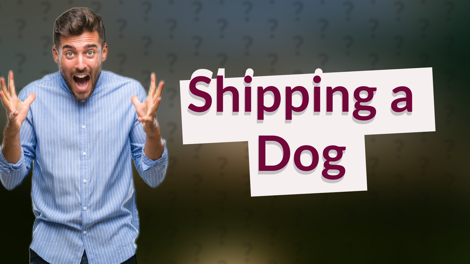 Shipping a Dog
