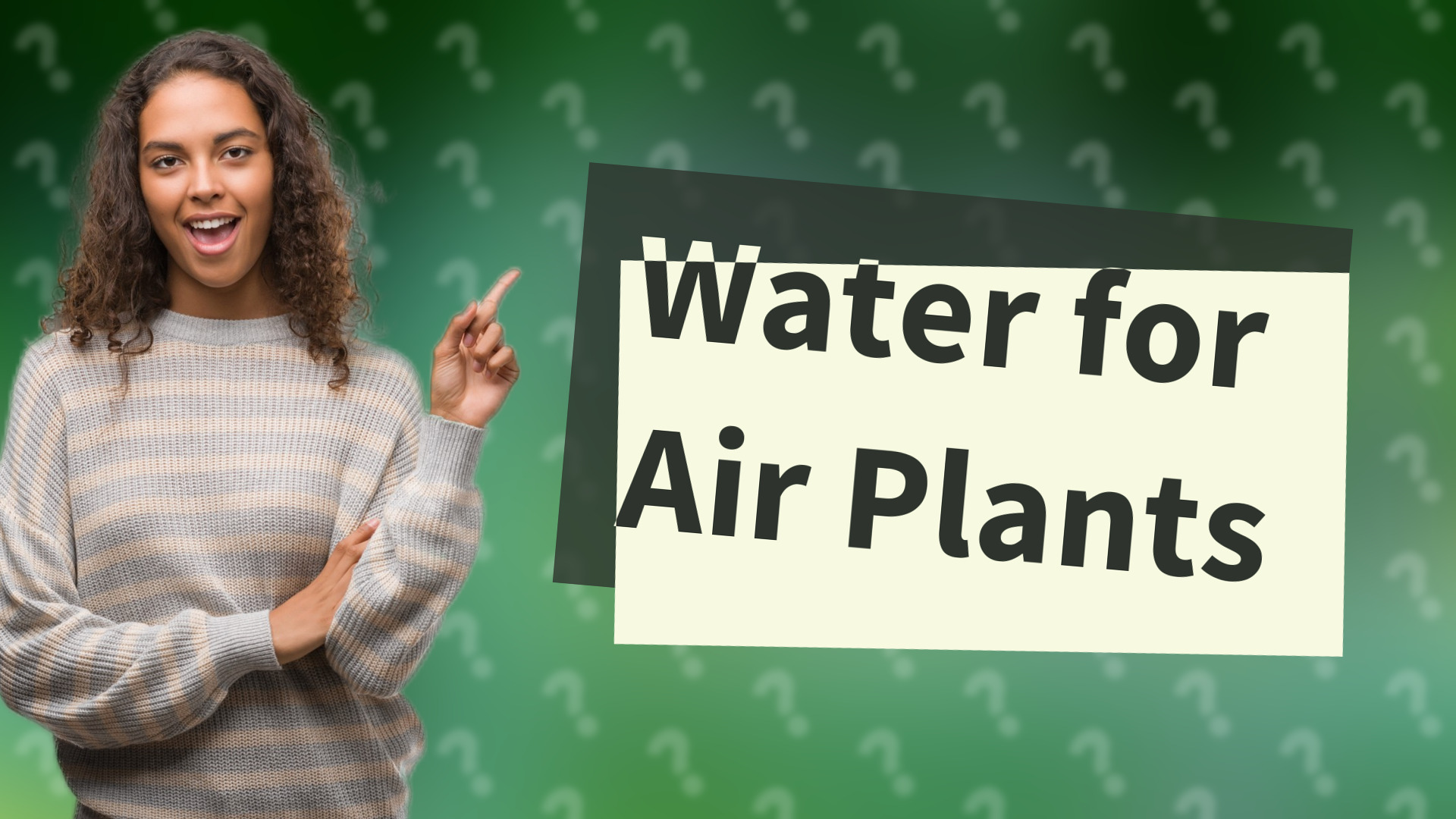 Water for Air Plants