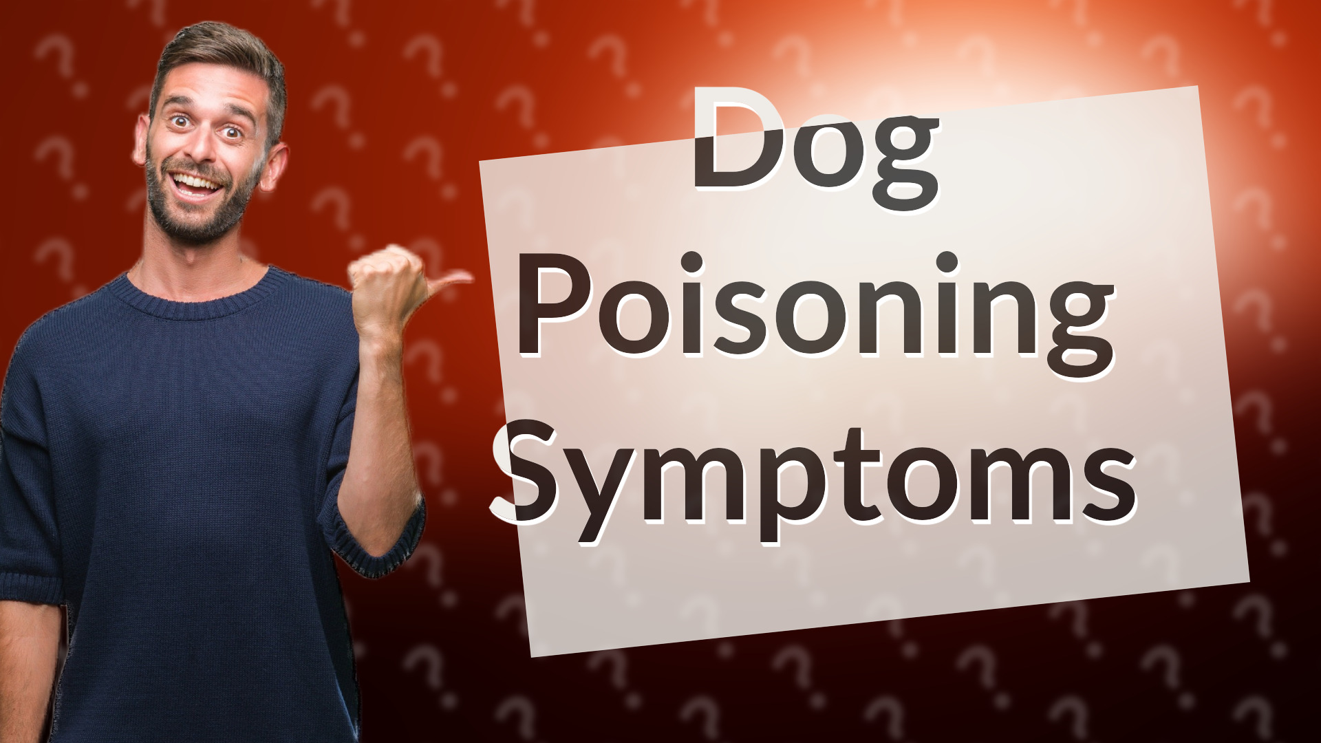 Dog Poisoning Symptoms