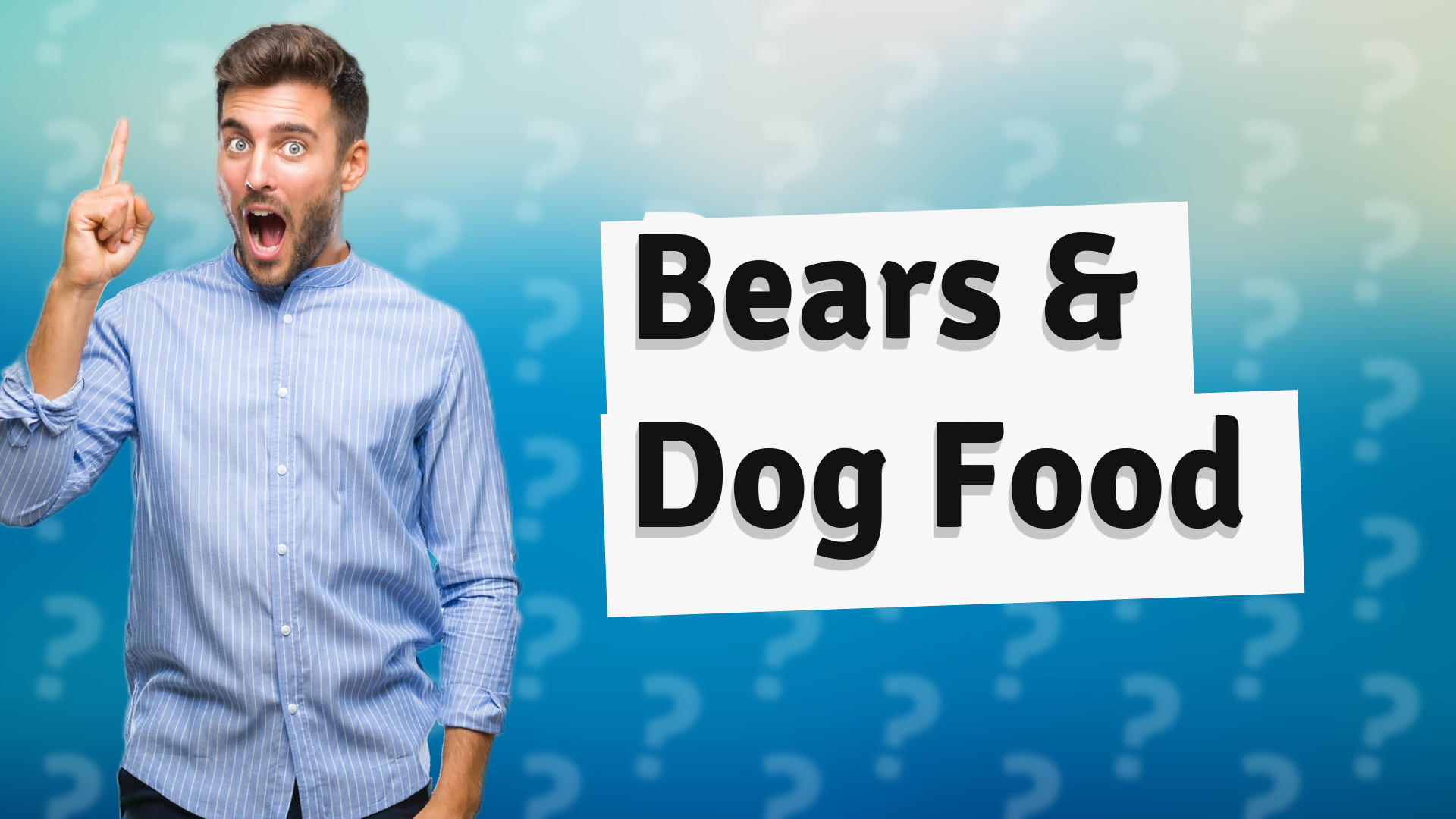 Bears & Dog Food