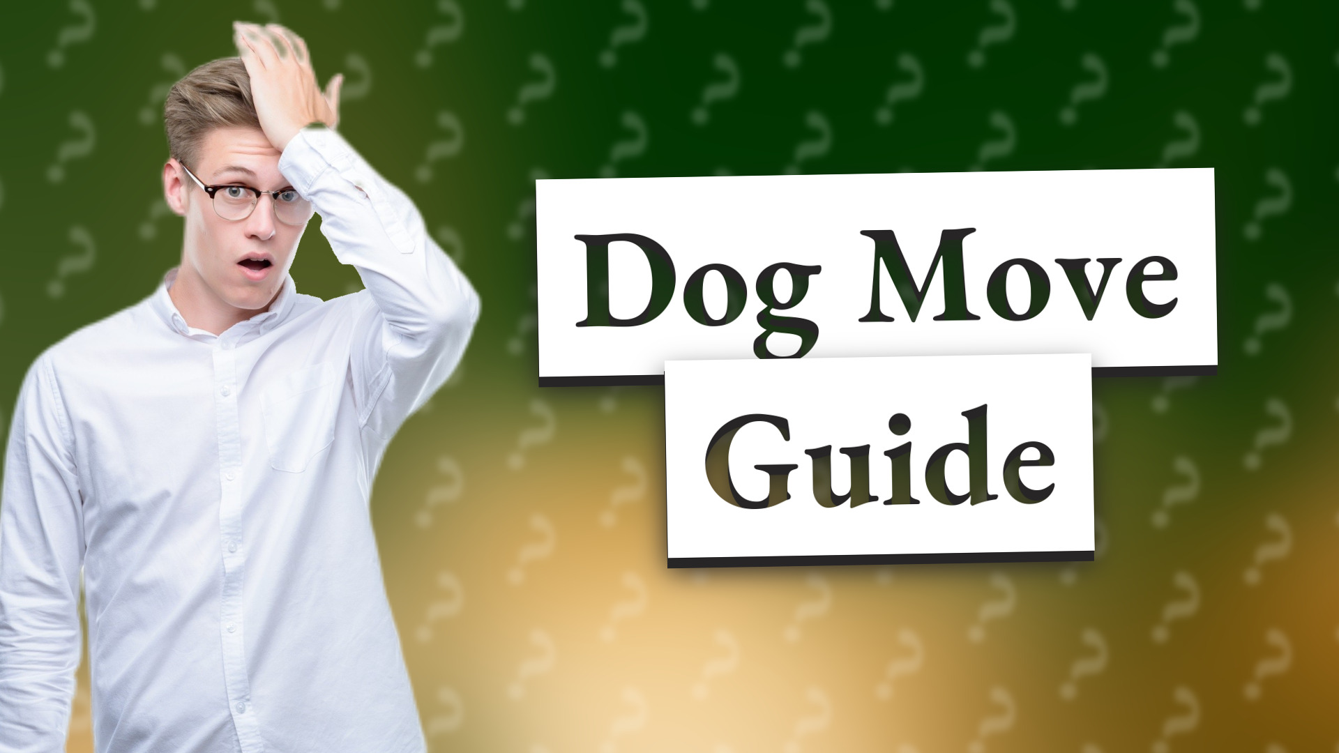 Dog Move Guide