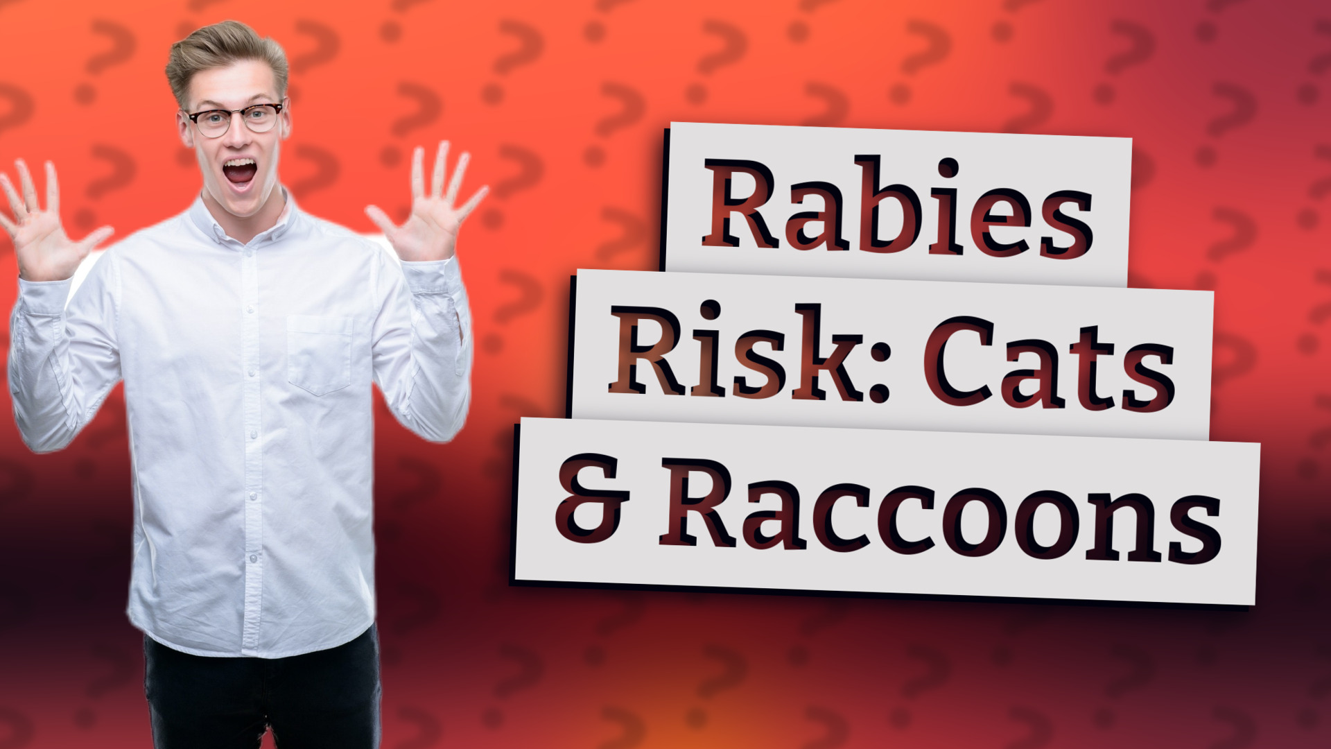 Rabies Risk: Cats & Raccoons