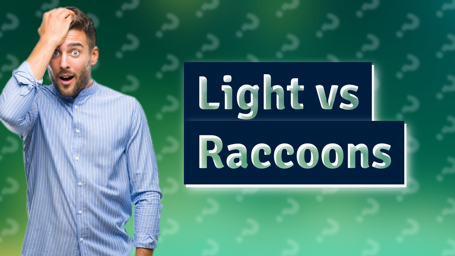 Light vs Raccoons