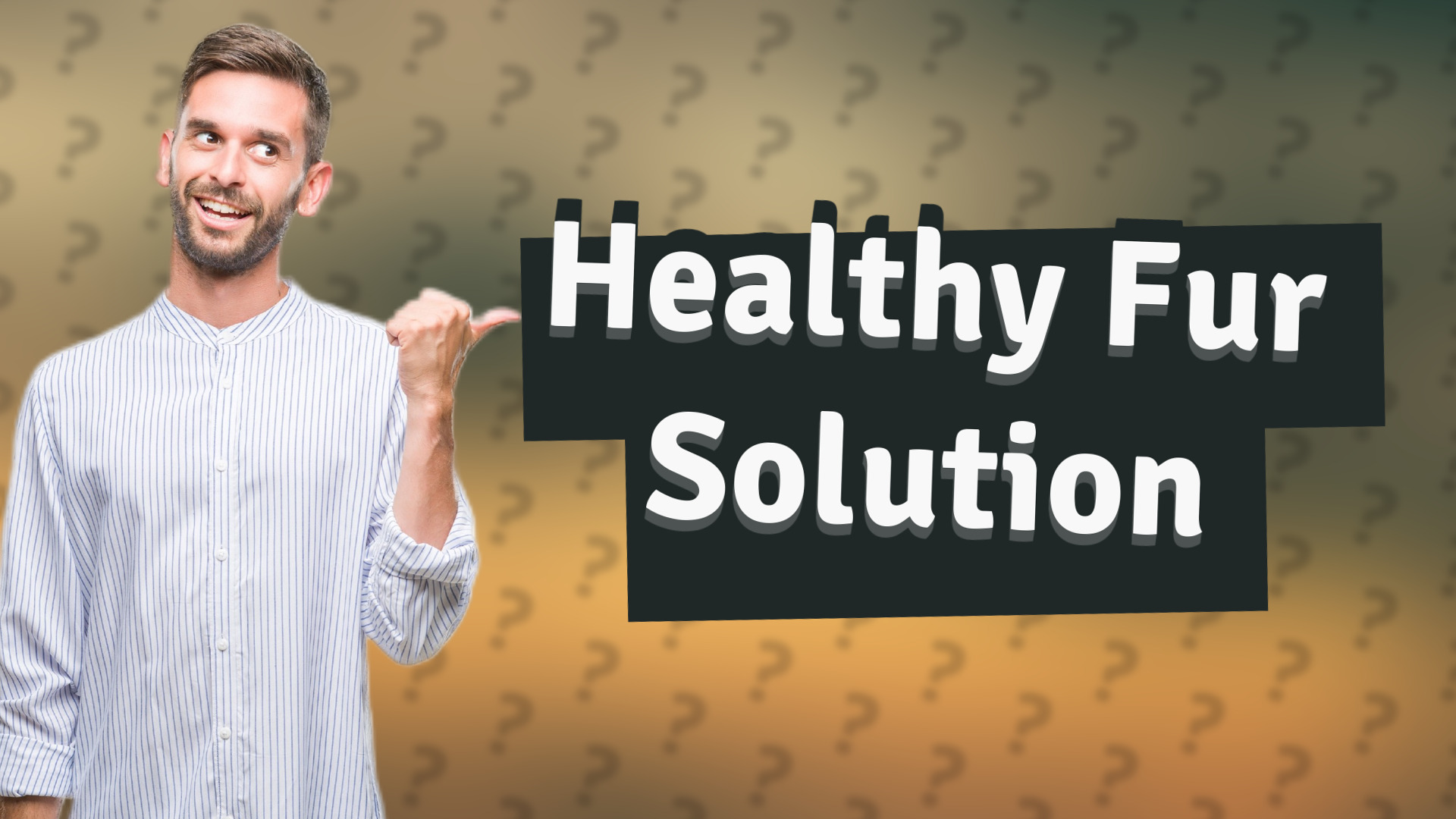 Healthy Fur Solution