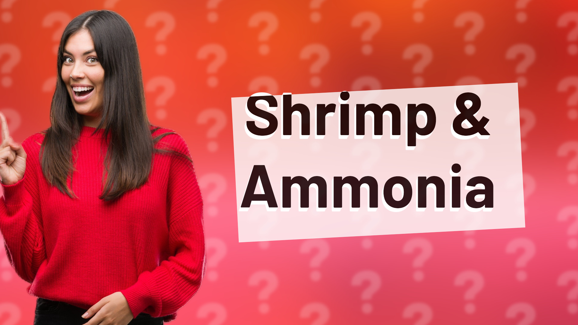 Shrimp & Ammonia