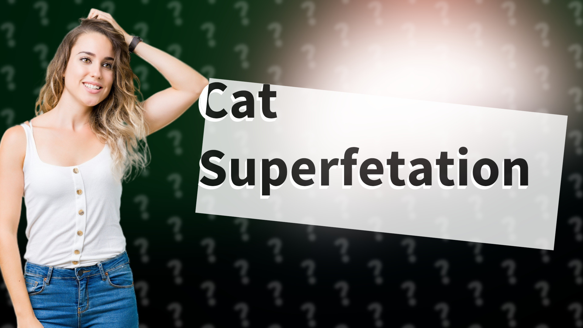Cat Superfetation