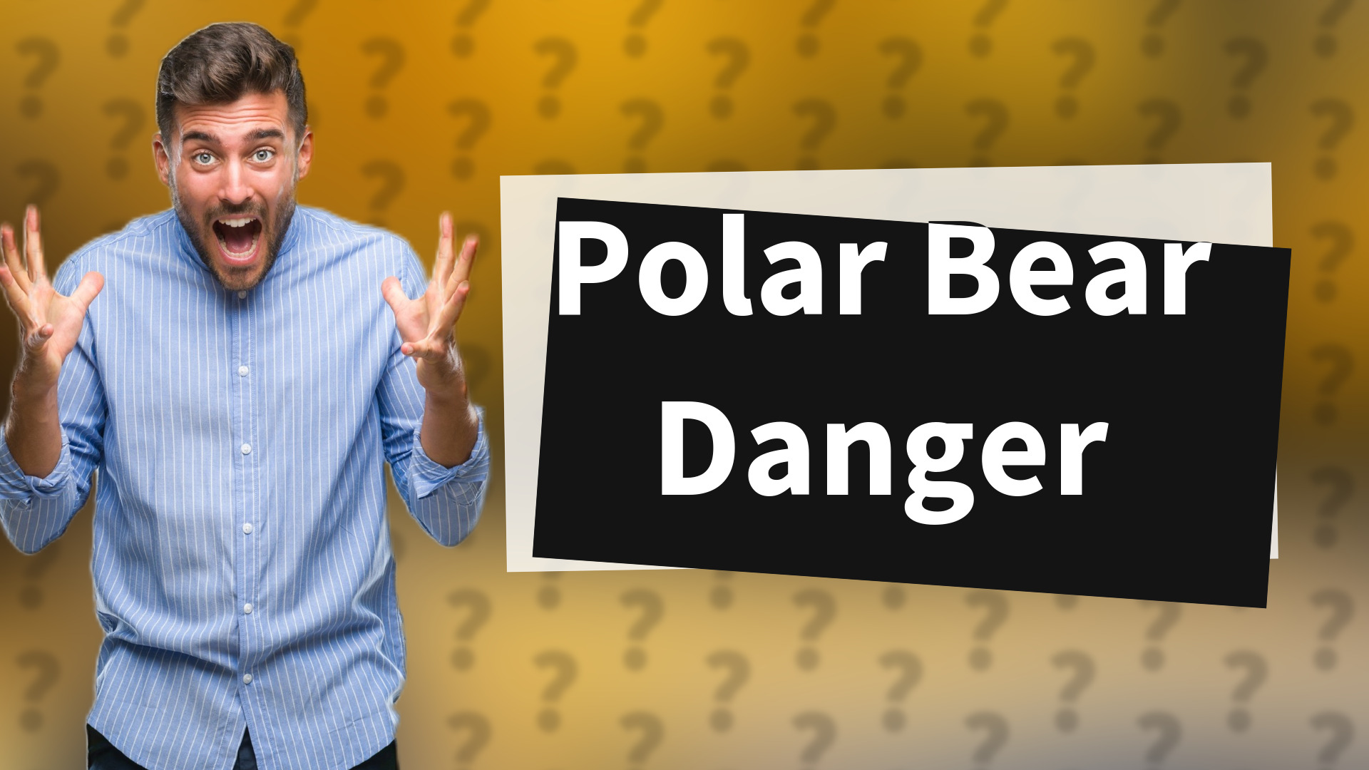 Polar Bear Danger