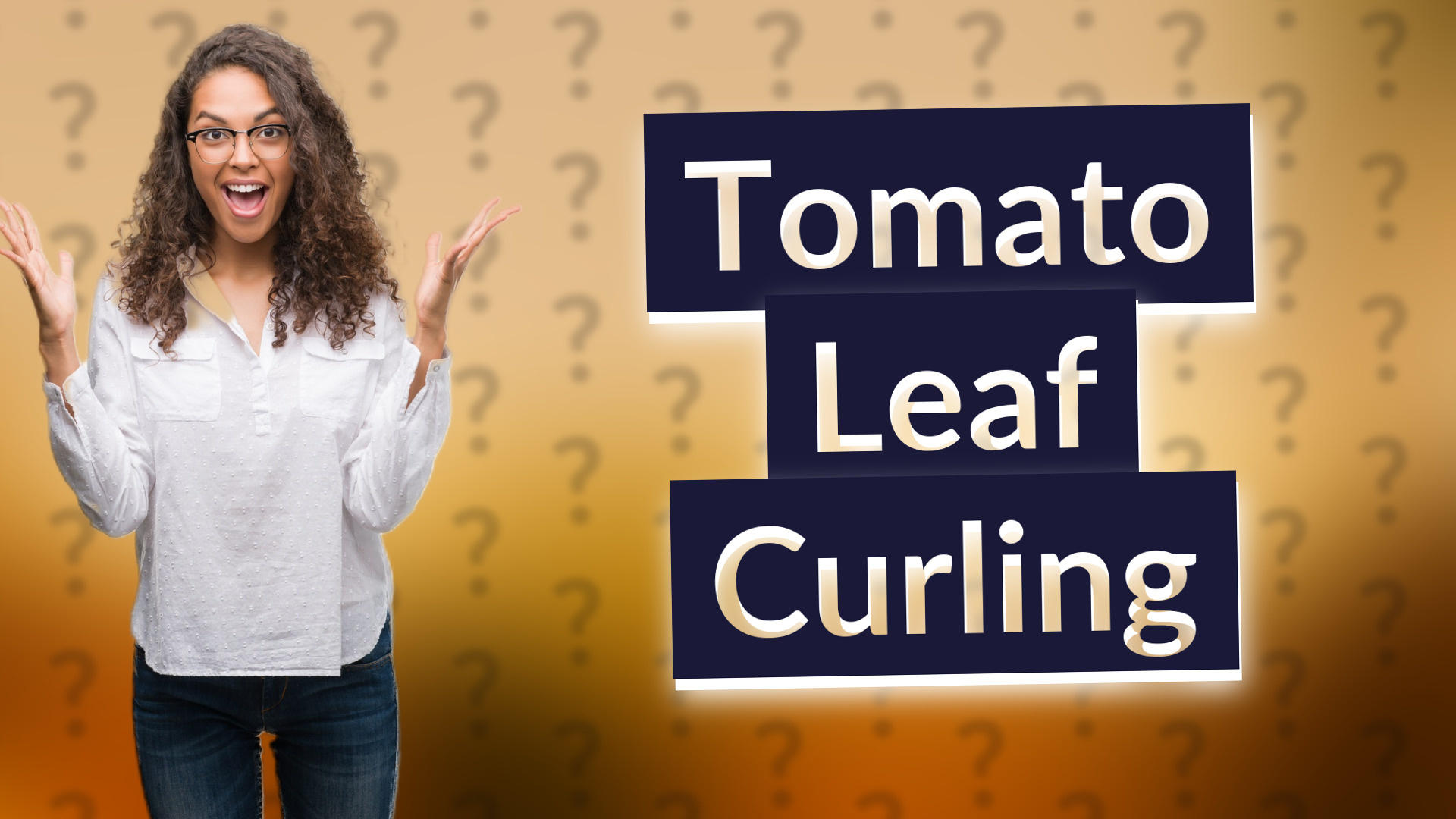 Tomato Leaf Curling