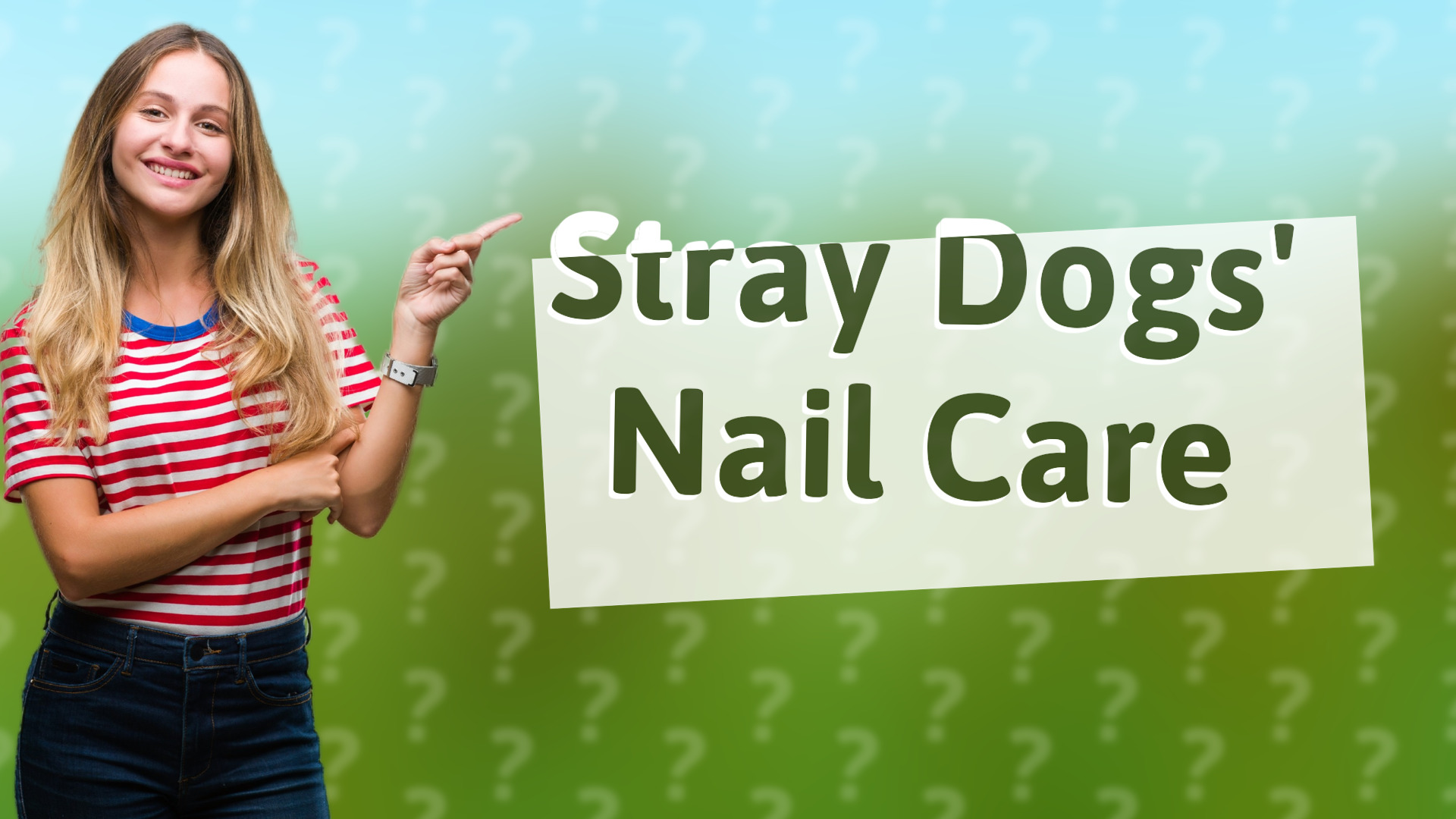 Stray Dogs' Nail Care