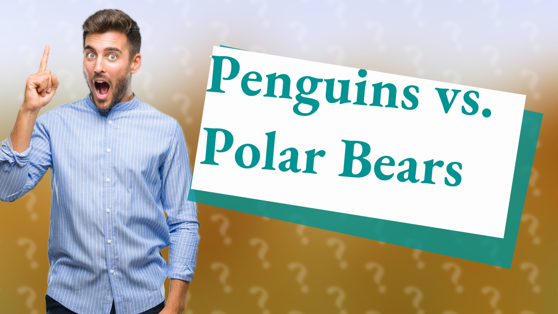 Penguins vs. Polar Bears