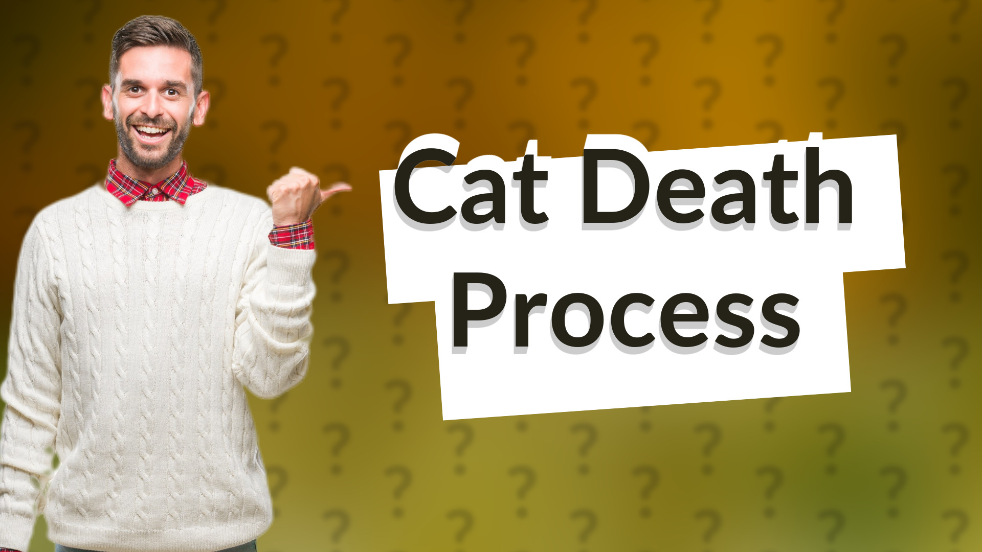 Cat Death Process