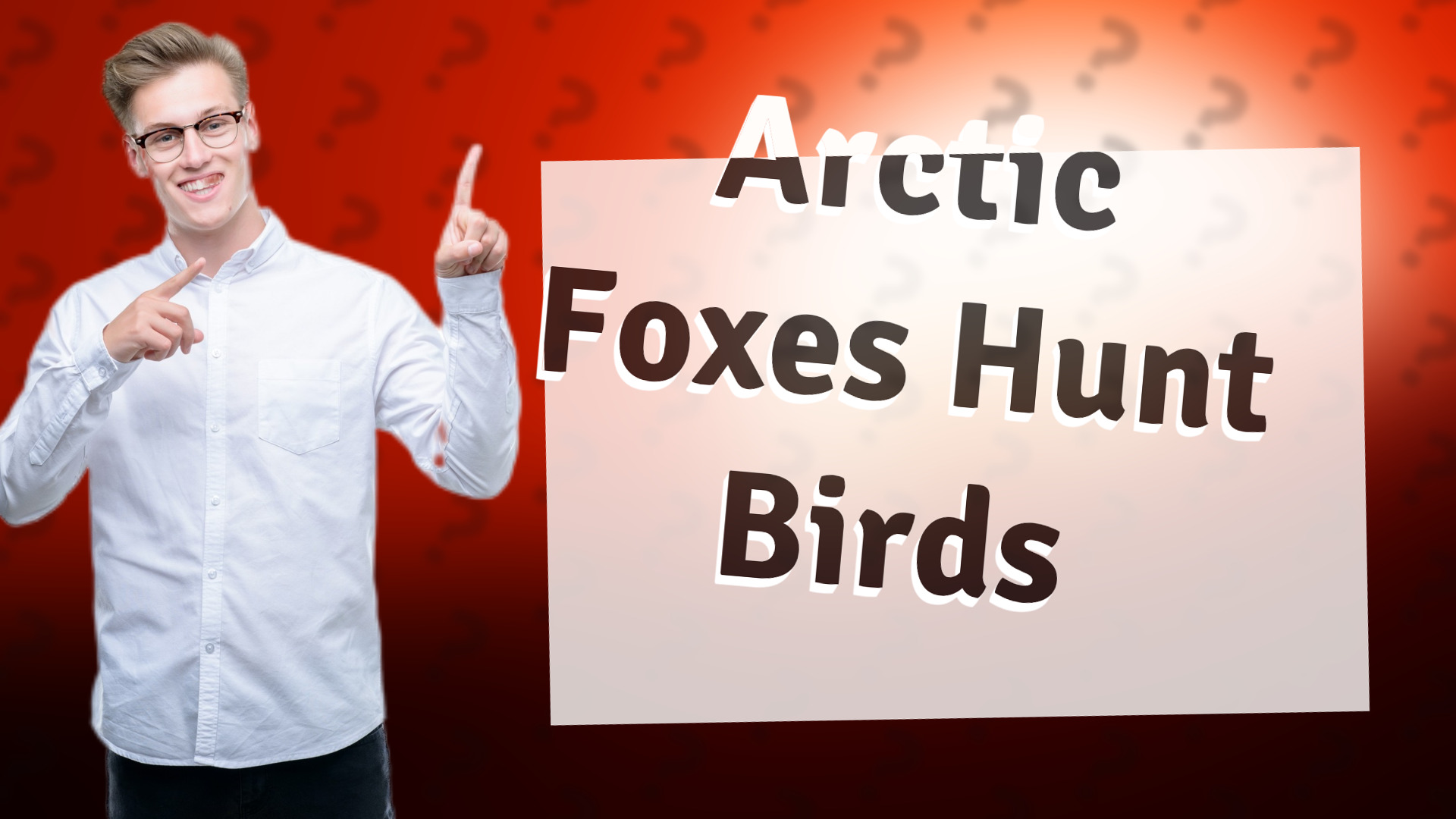 Arctic Foxes Hunt Birds
