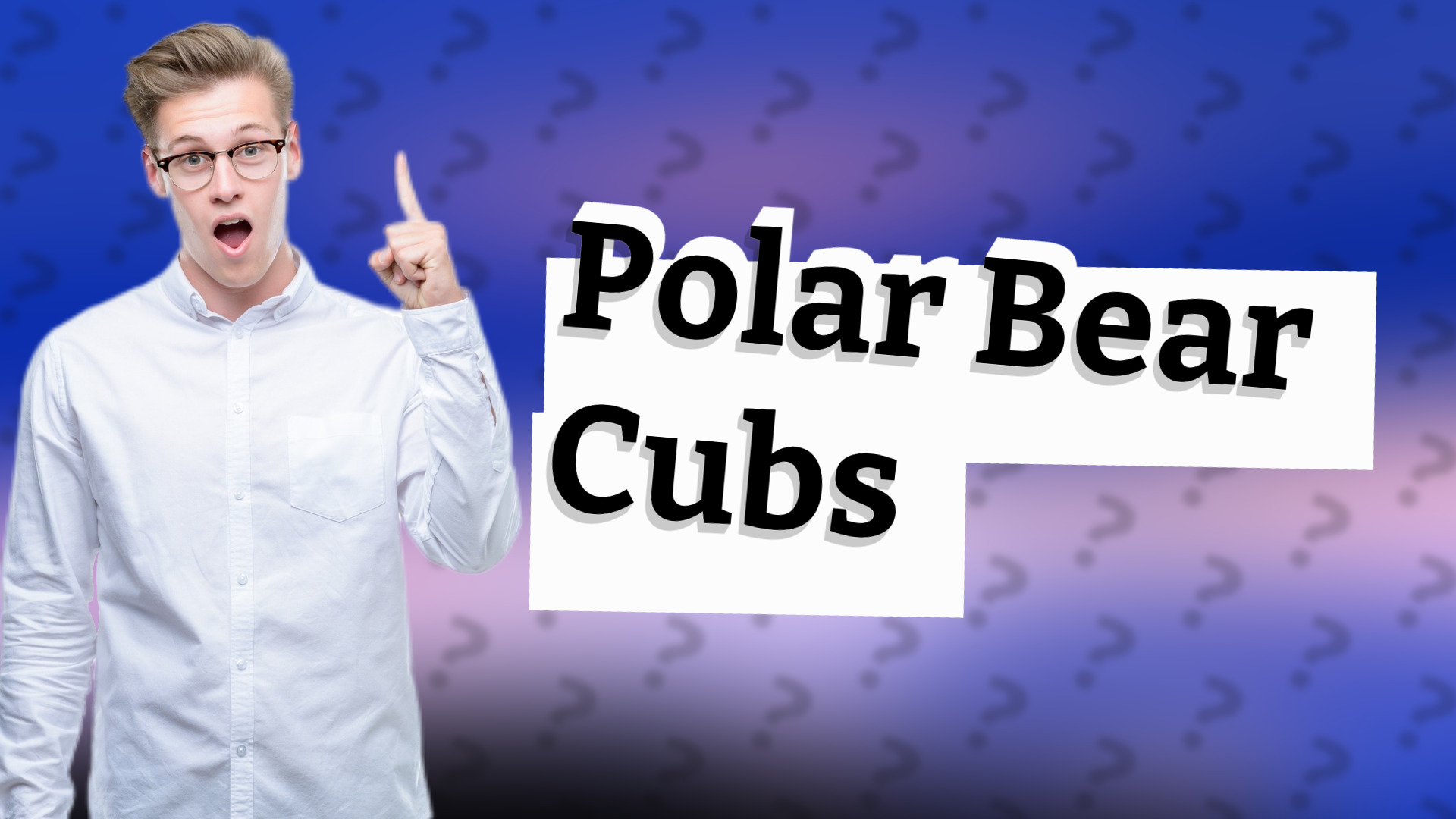 Polar Bear Cubs
