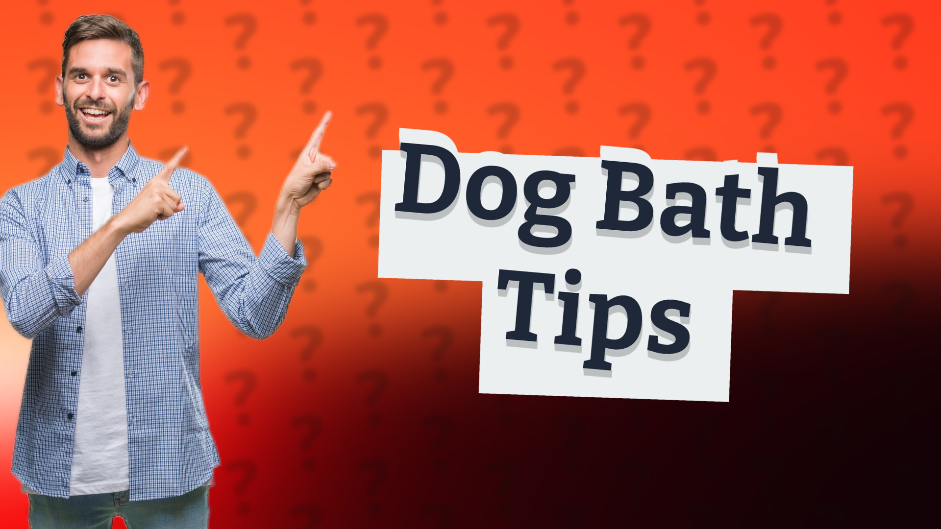 Dog Bath Tips