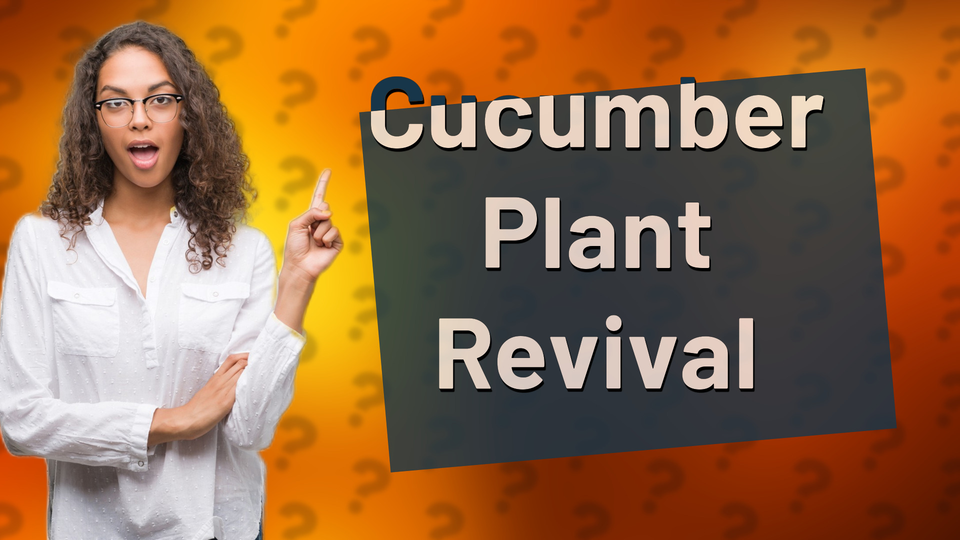 Cucumber Plant Revival