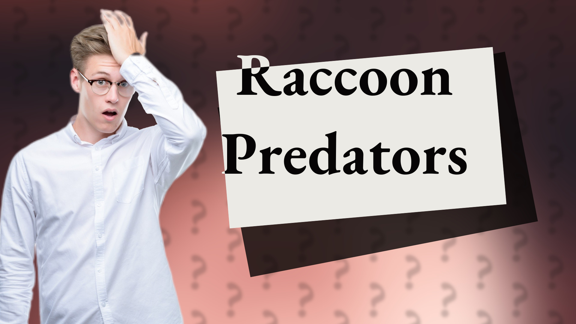 Raccoon Predators