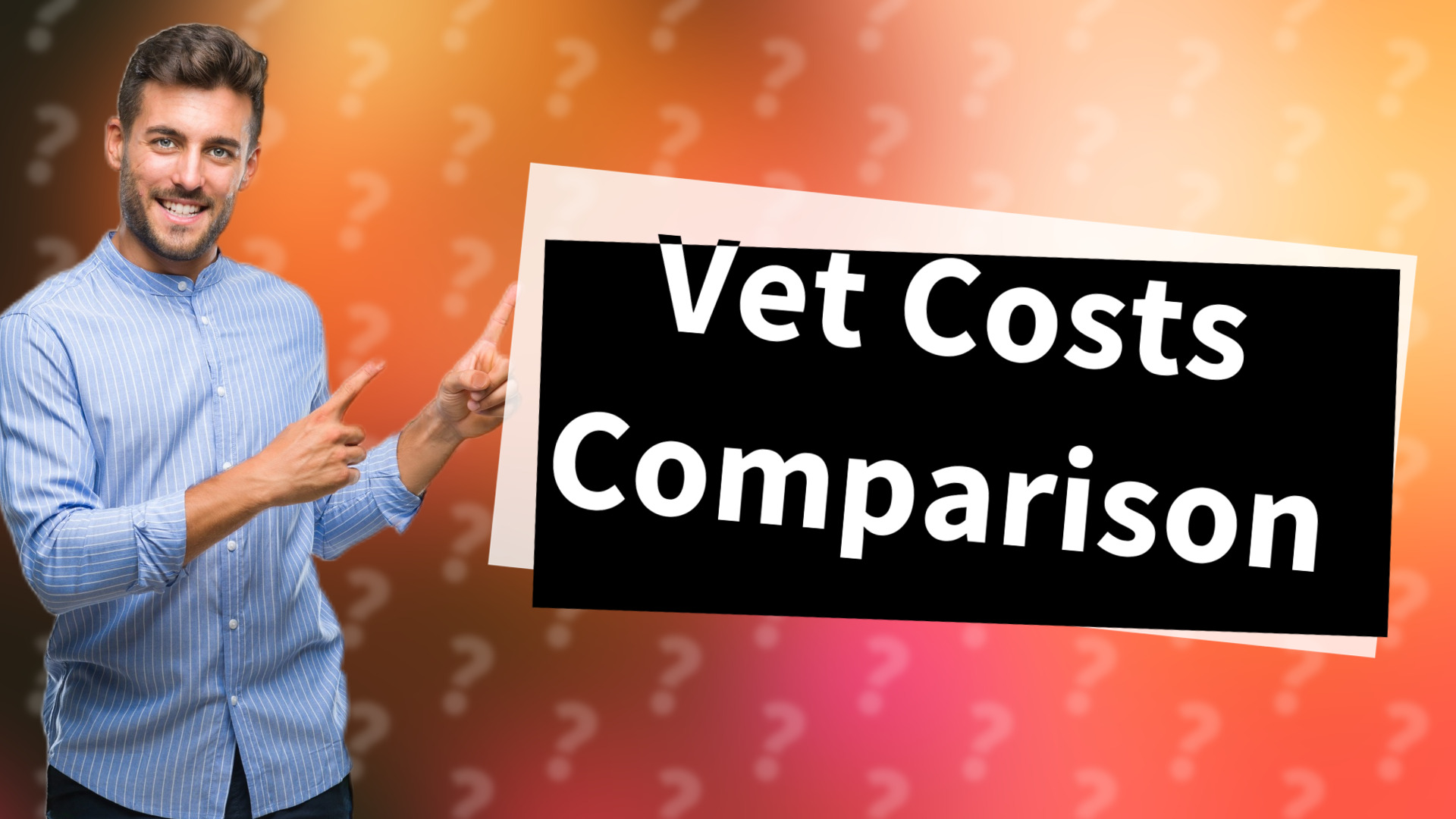 Vet Costs Comparison