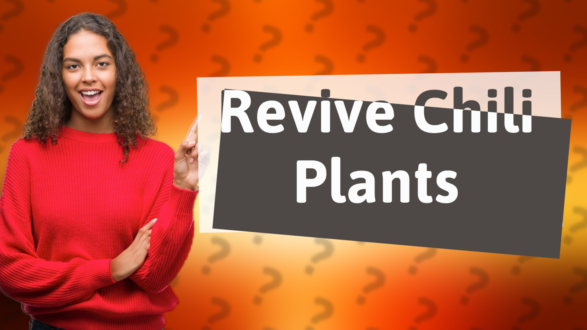 Revive Chili Plants