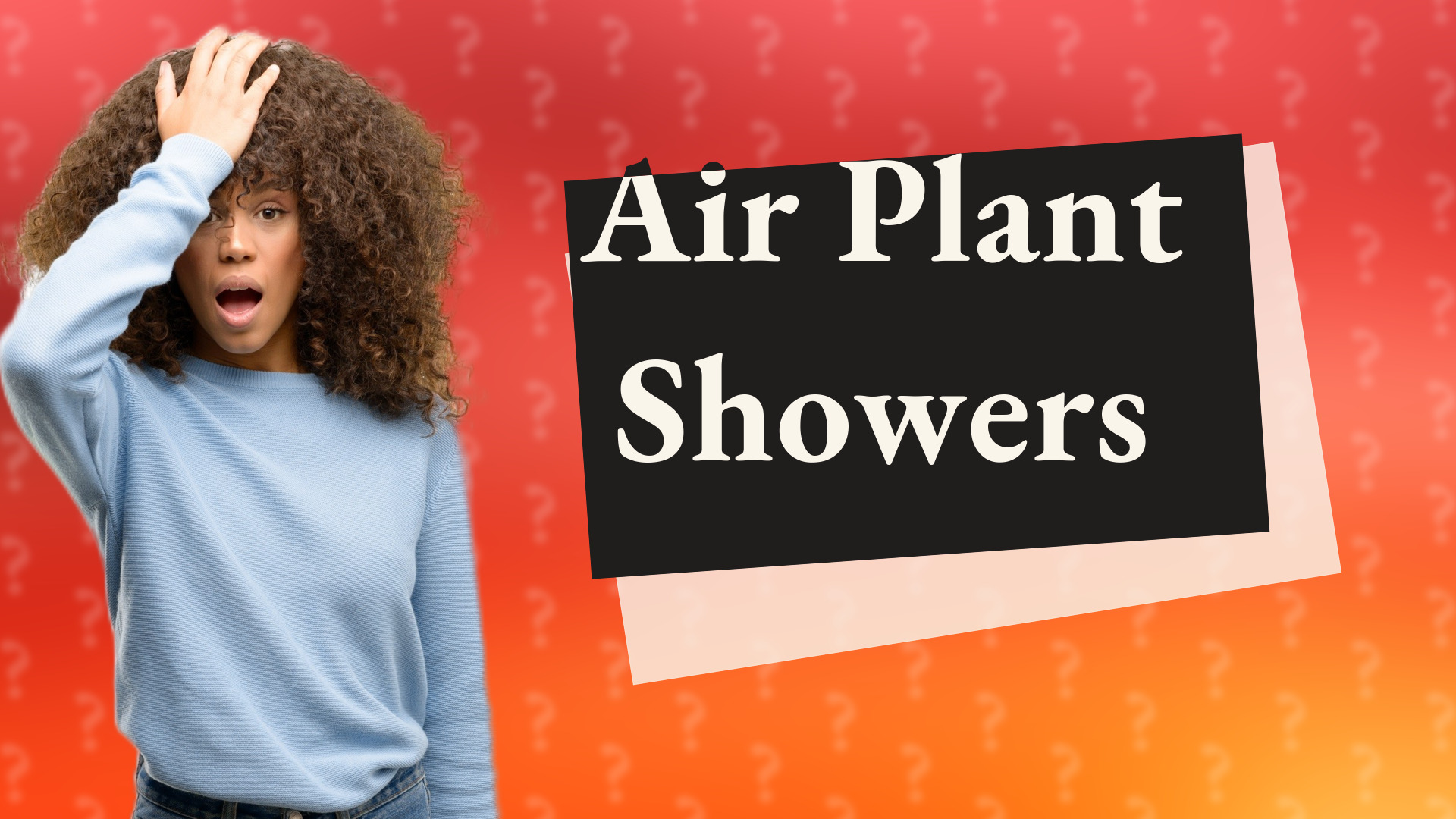 Air Plant Showers