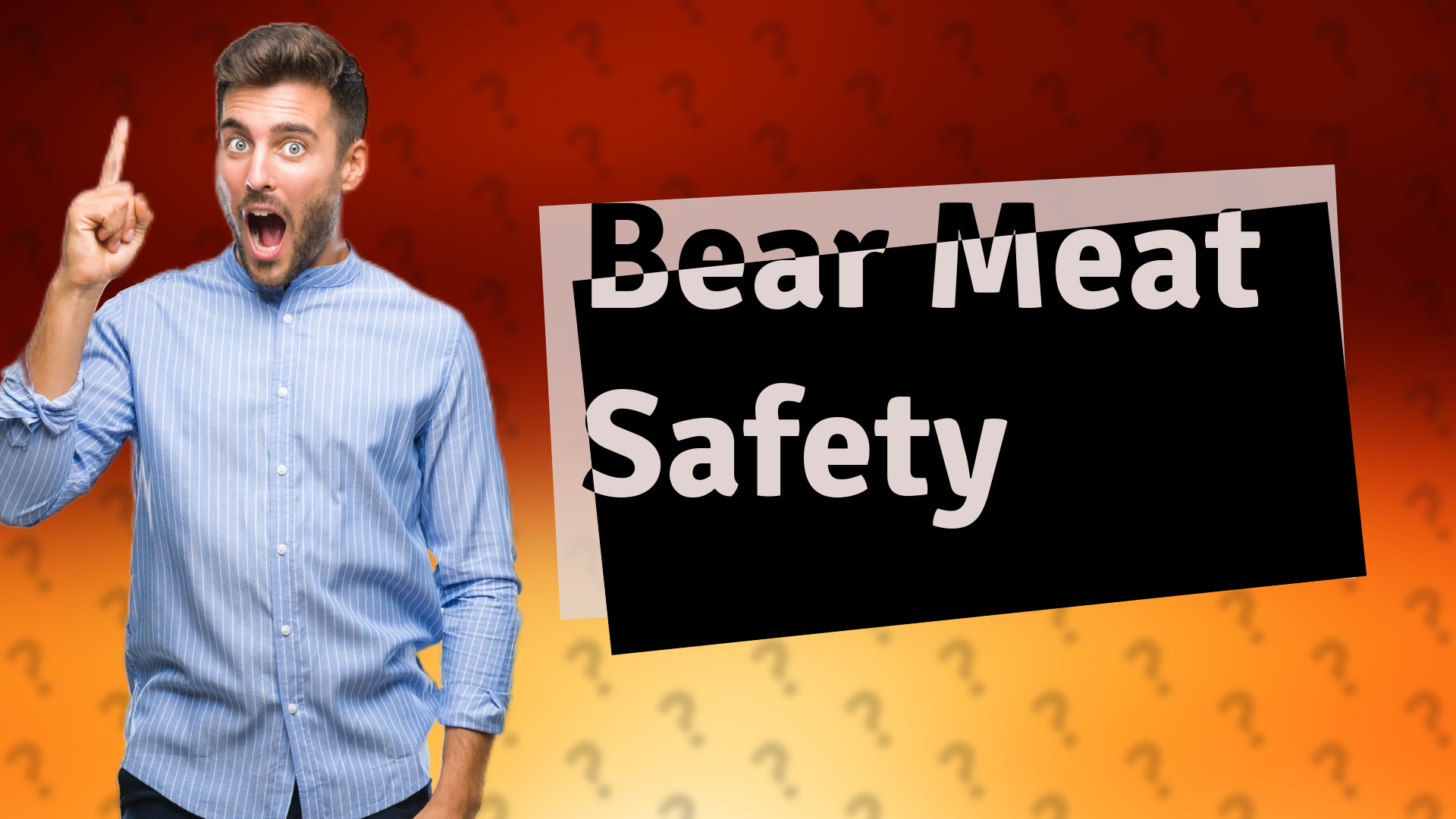 Bear Meat Safety