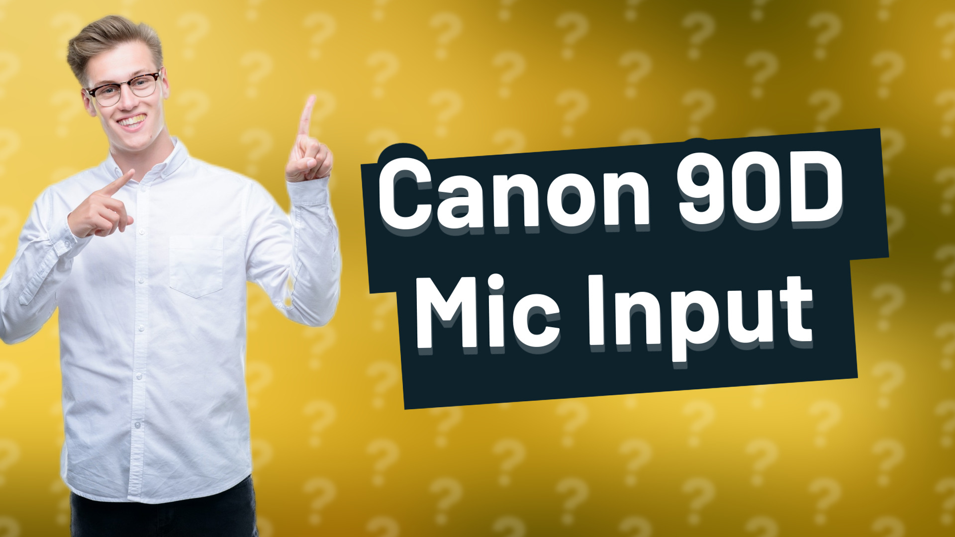 Canon 90D Mic Input