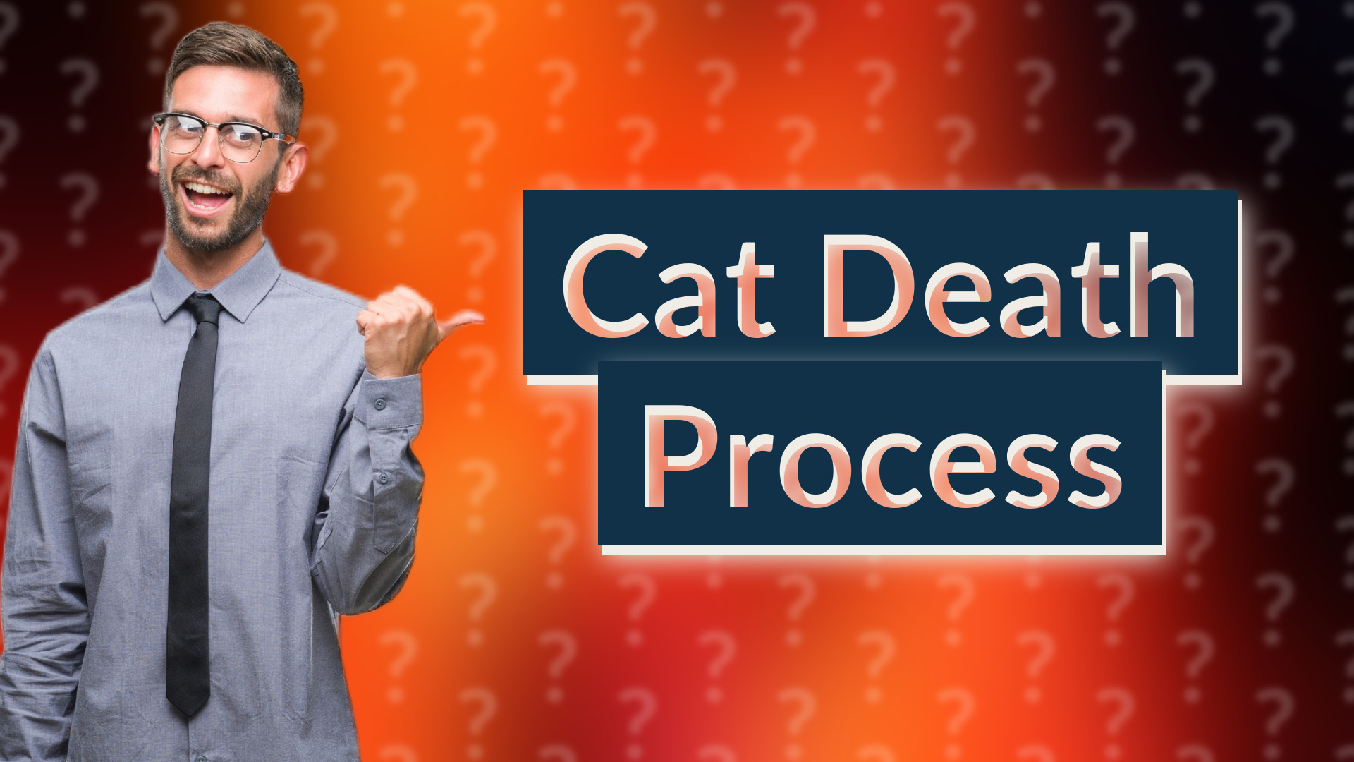 Cat Death Process