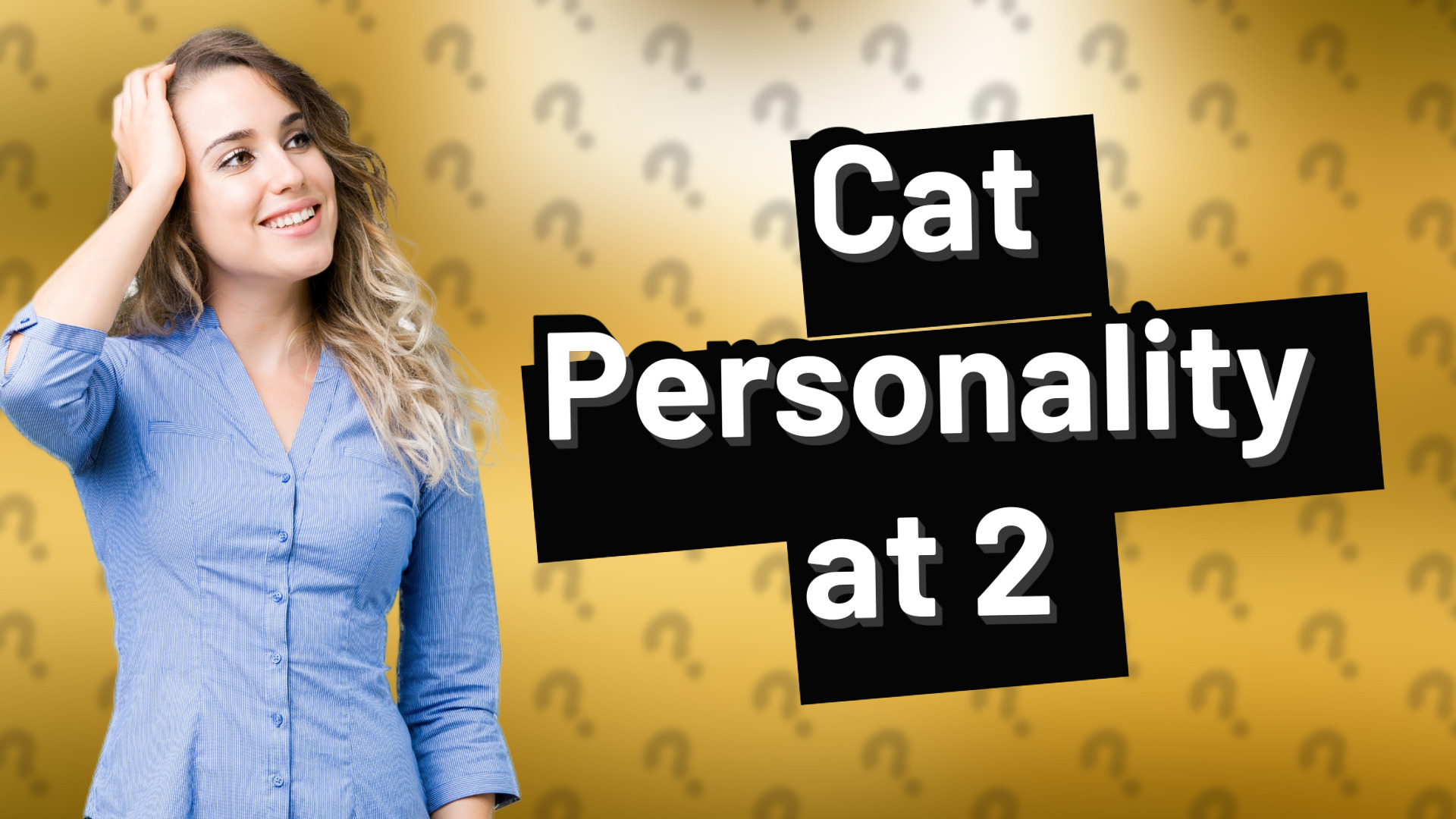 Cat Personality at 2