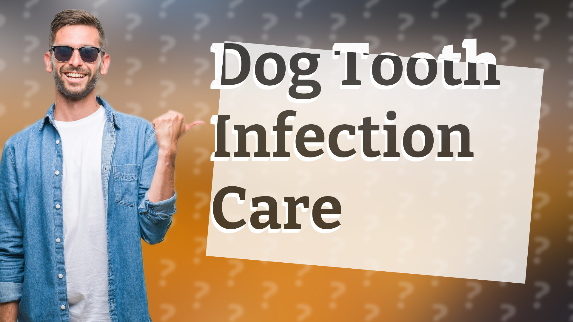 Dog Tooth Infection Care