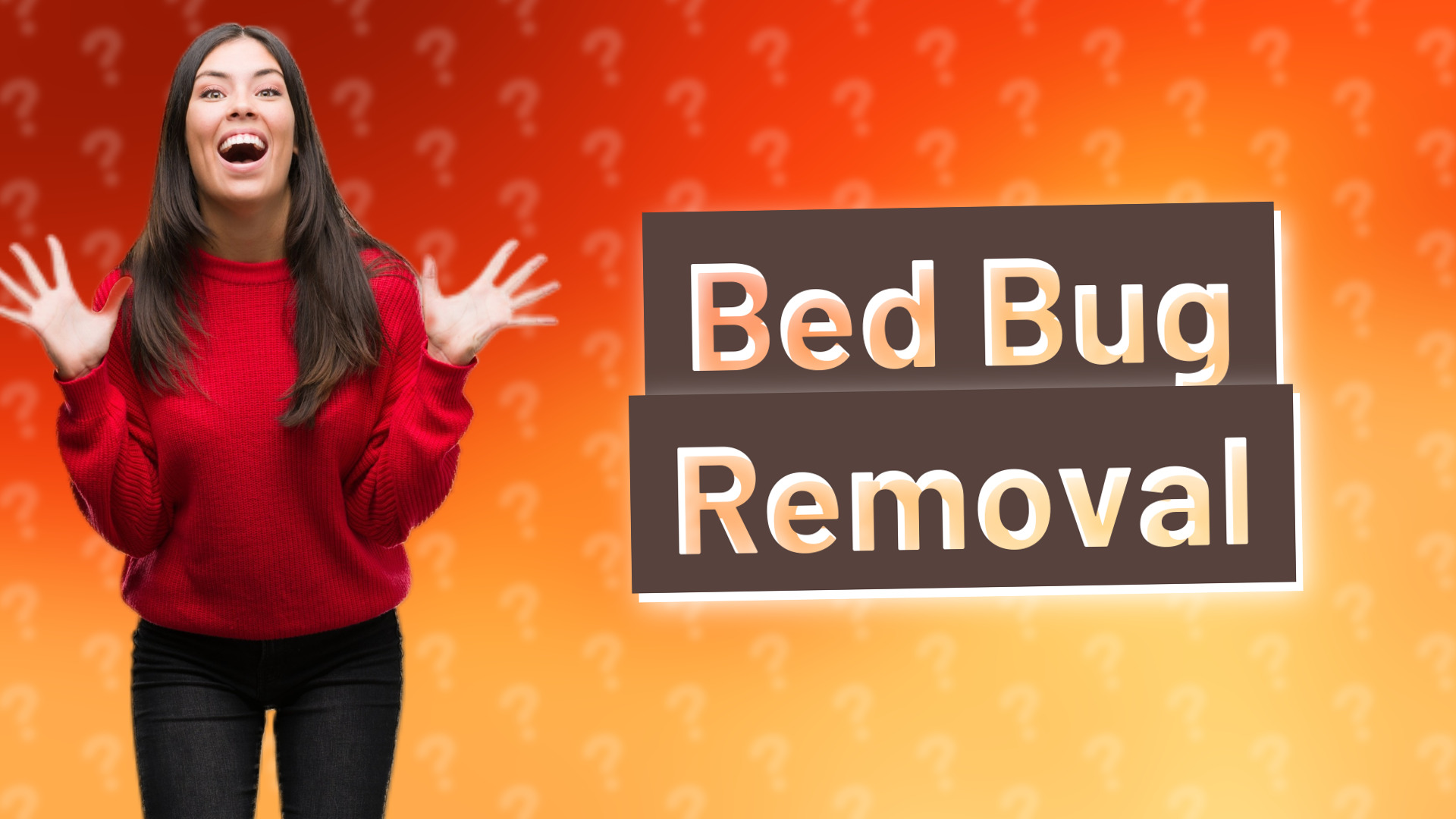 Bed Bug Removal