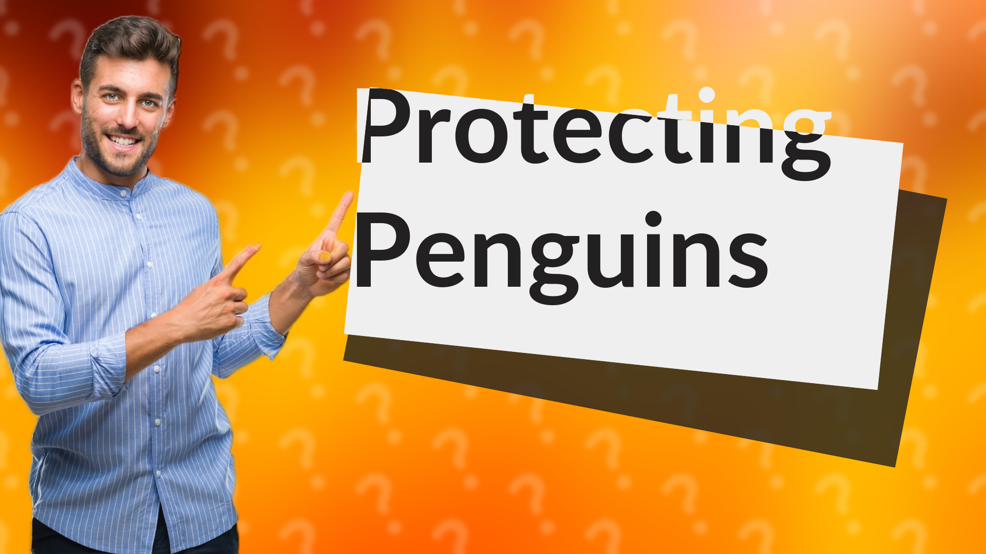 Protecting Penguins