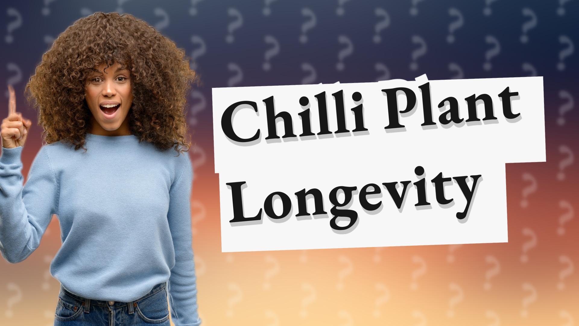 Chilli Plant Longevity