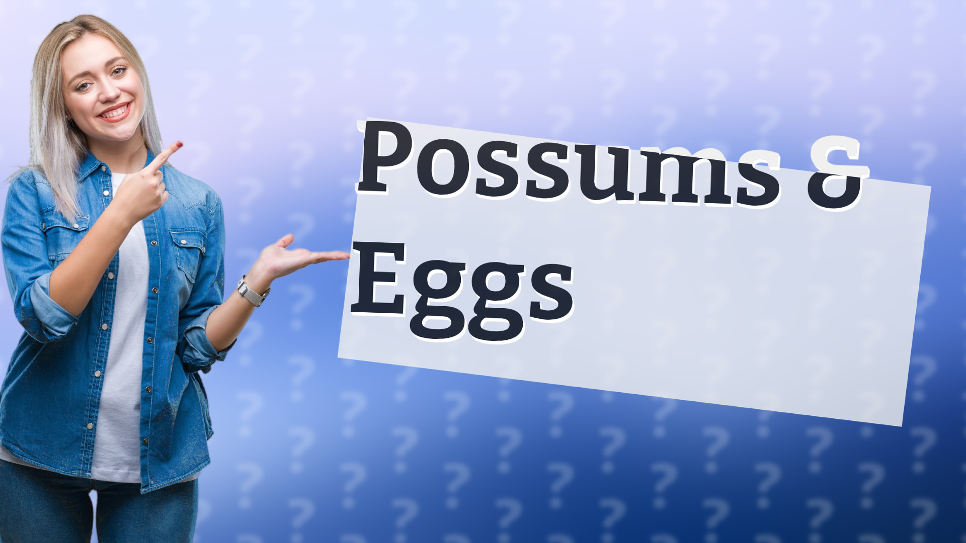 Possums & Eggs
