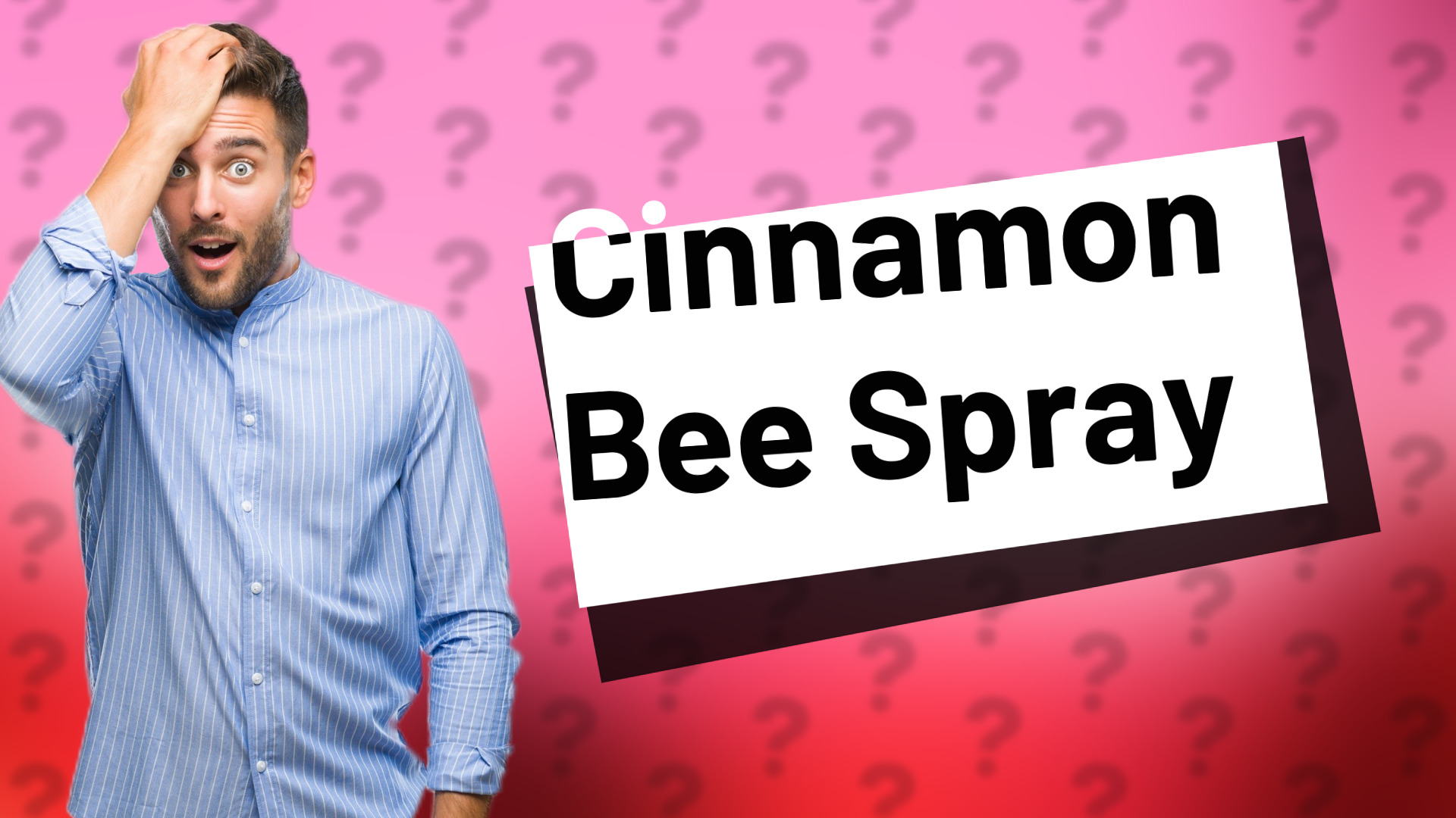 Cinnamon Bee Spray
