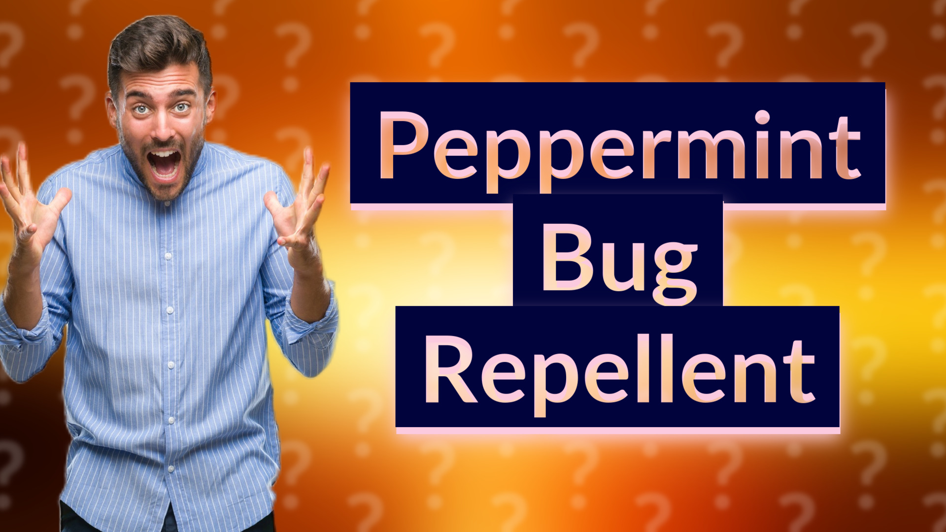 Peppermint Bug Repellent