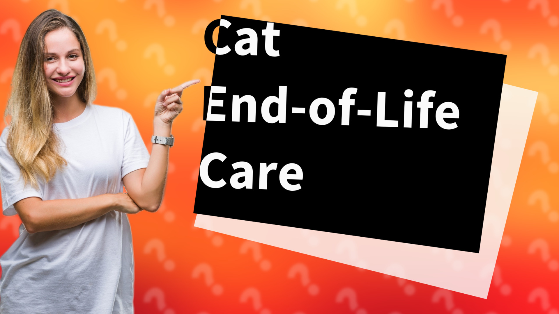 Cat End-of-Life Care