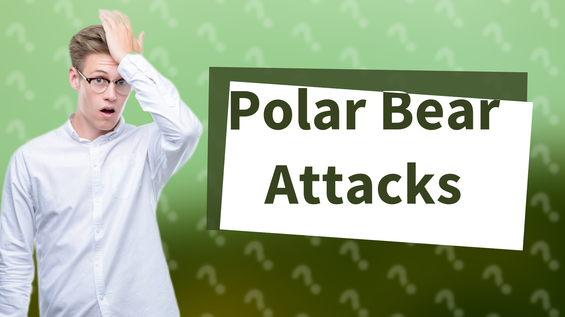 Polar Bear Attacks