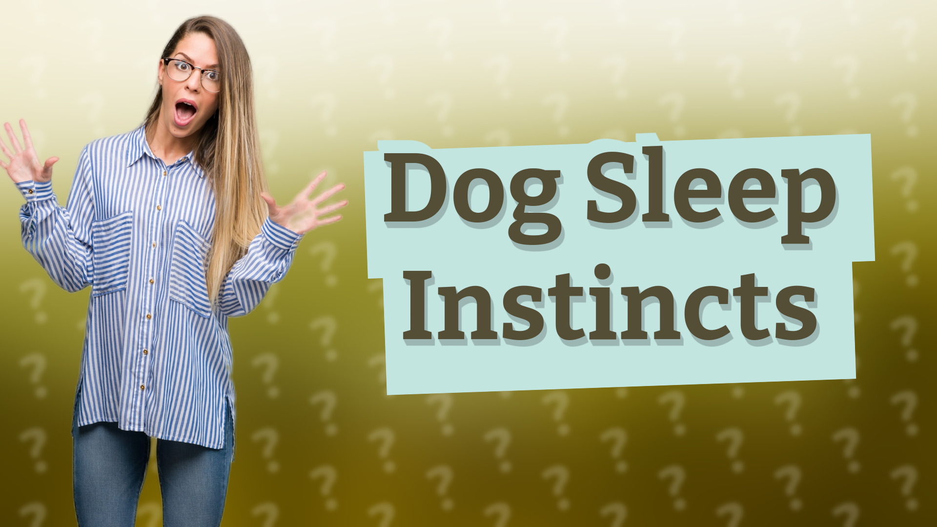 Dog Sleep Instincts