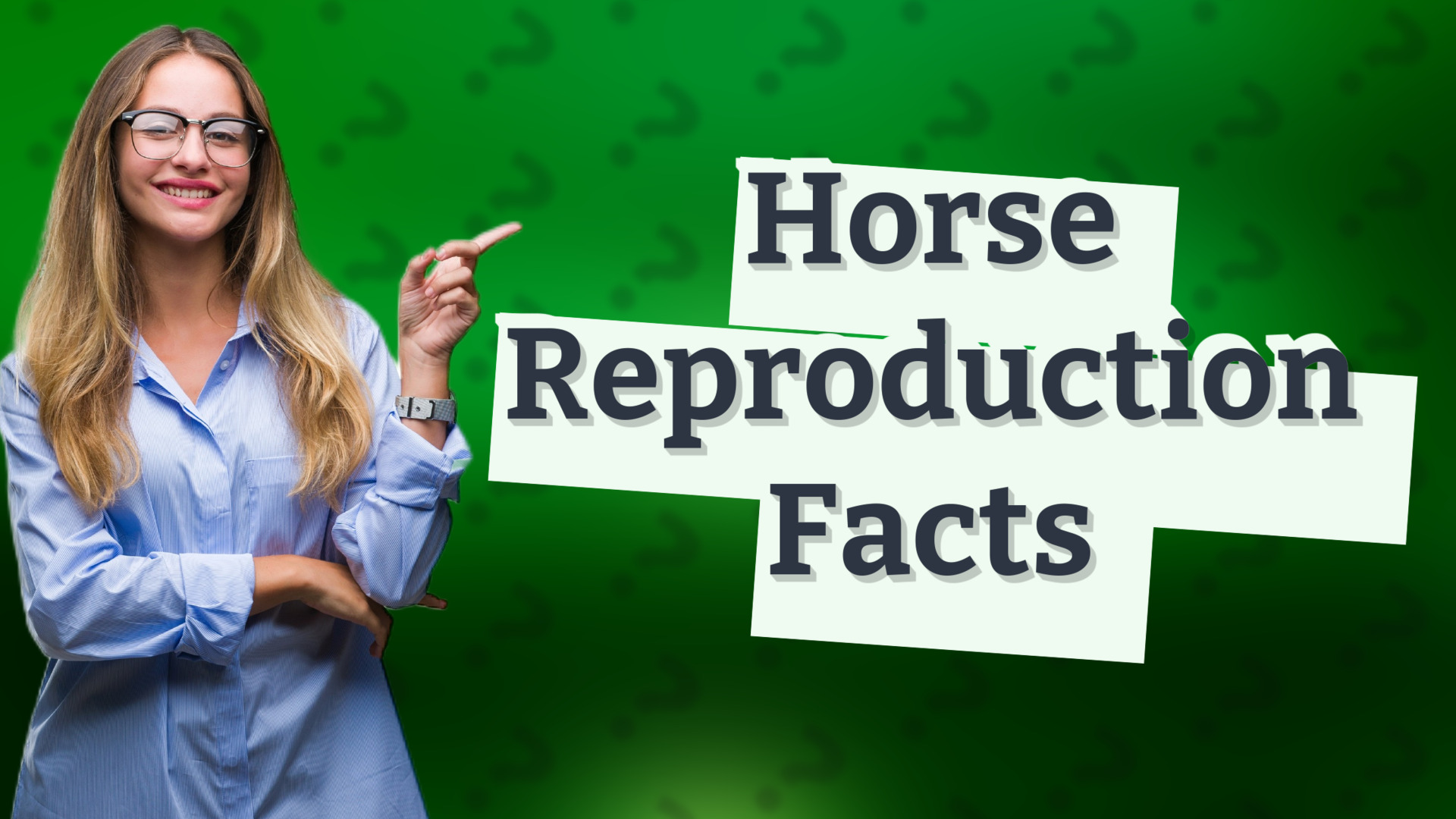 Horse Reproduction Facts
