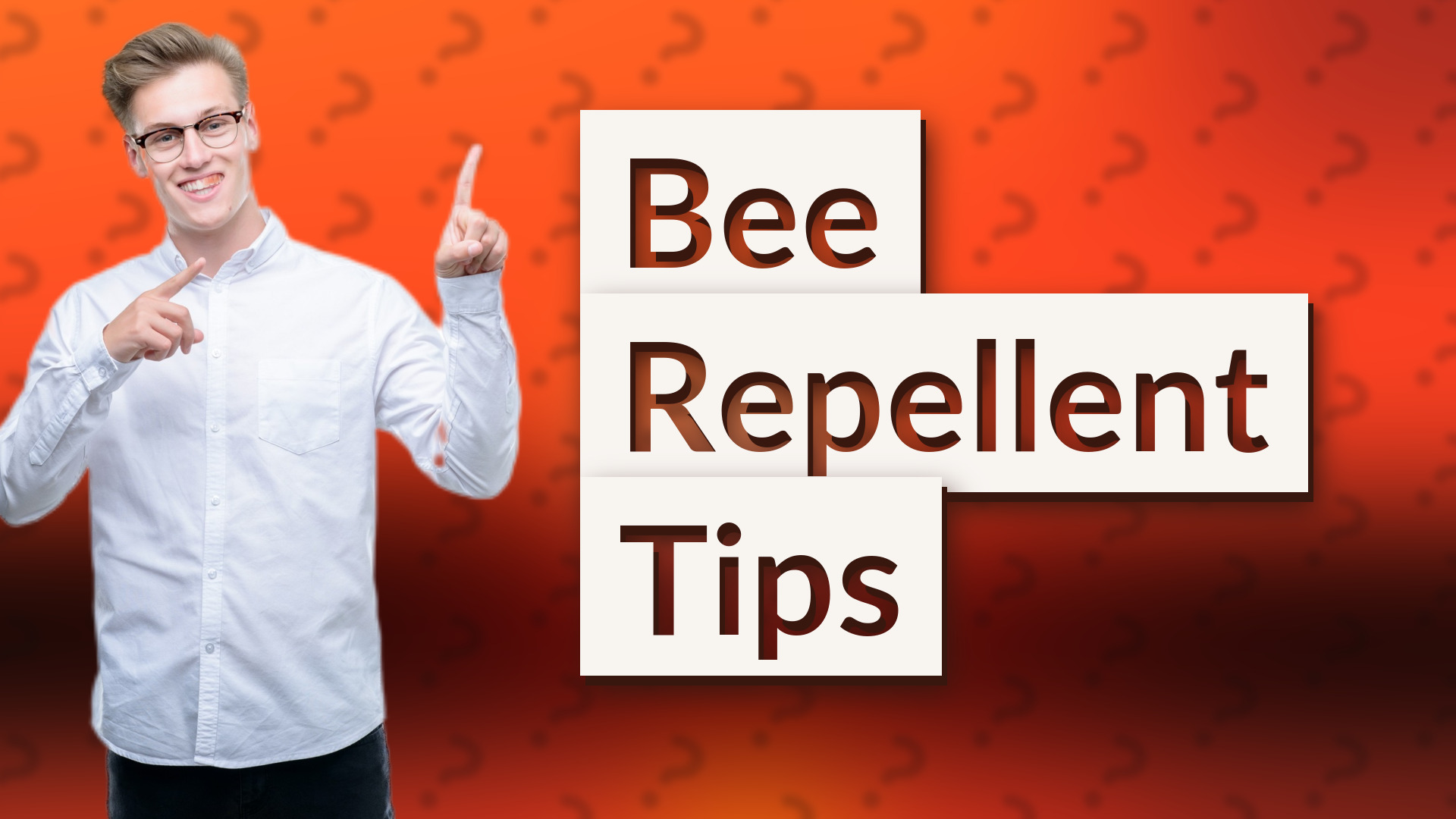 Bee Repellent Tips