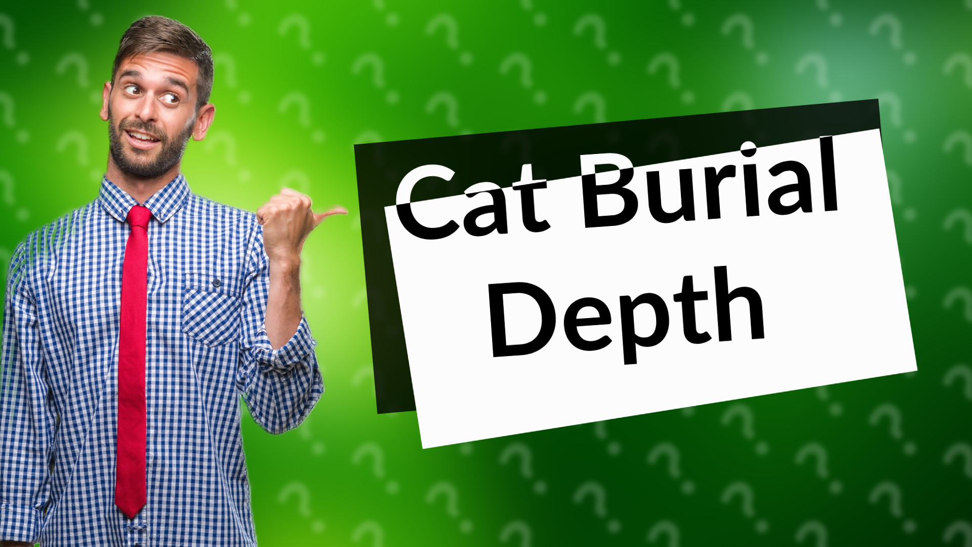 Cat Burial Depth