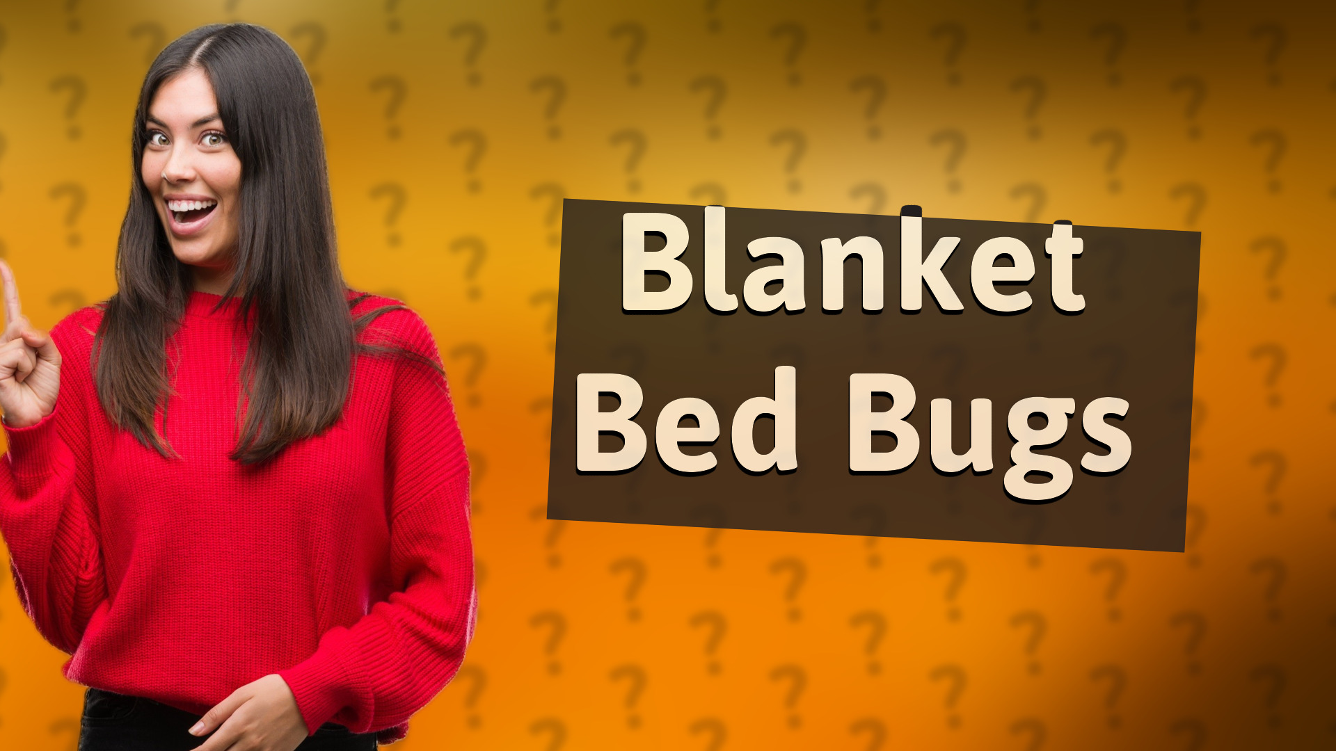 Blanket Bed Bugs