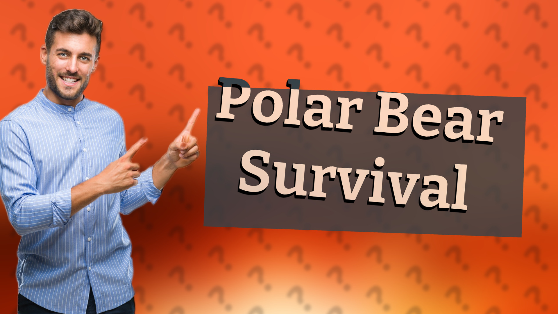 Polar Bear Survival