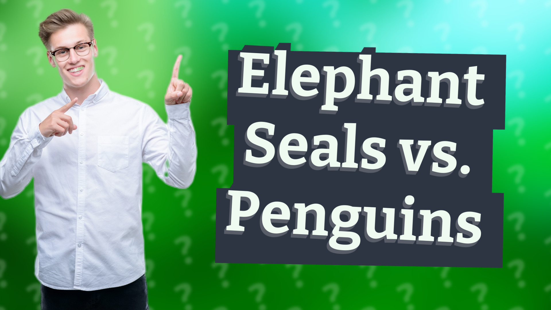 Elephant Seals vs. Penguins