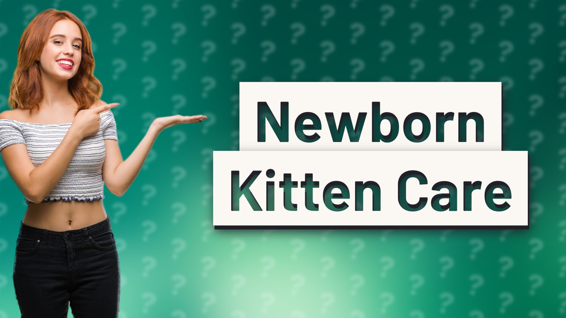 Newborn Kitten Care