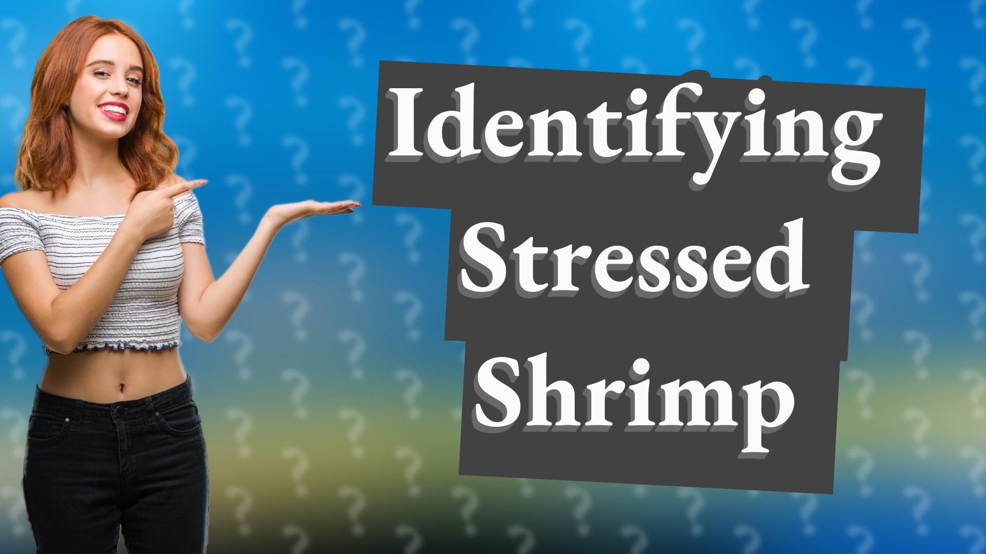 Identifying Stressed Shrimp