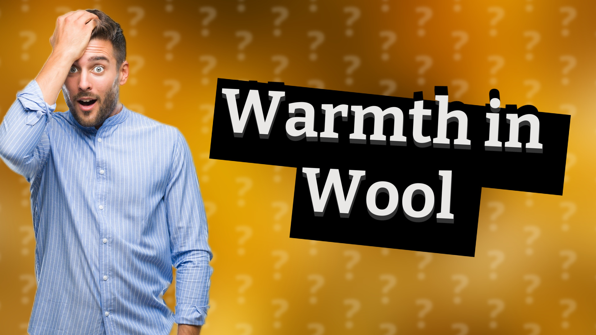 Warmth in Wool