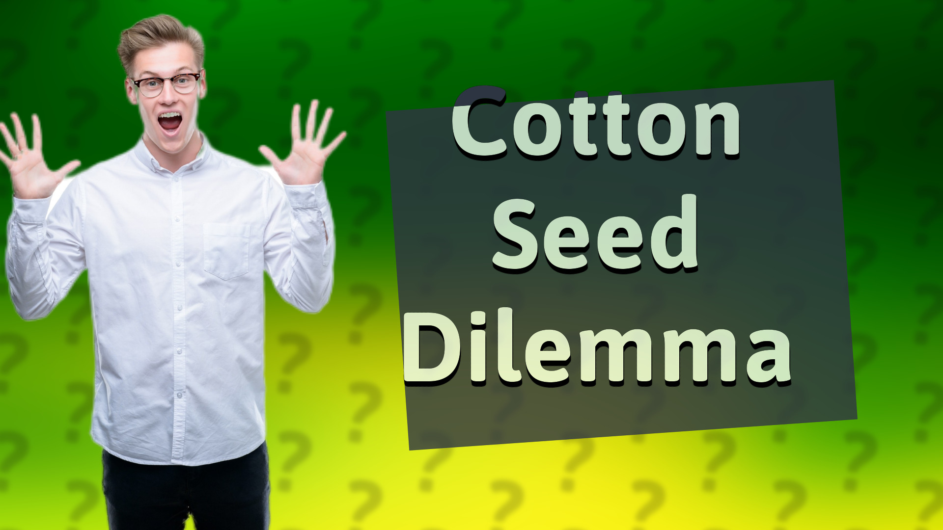 Cotton Seed Dilemma