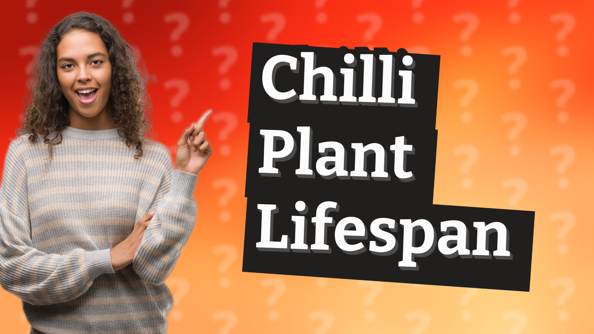 Chilli Plant Lifespan